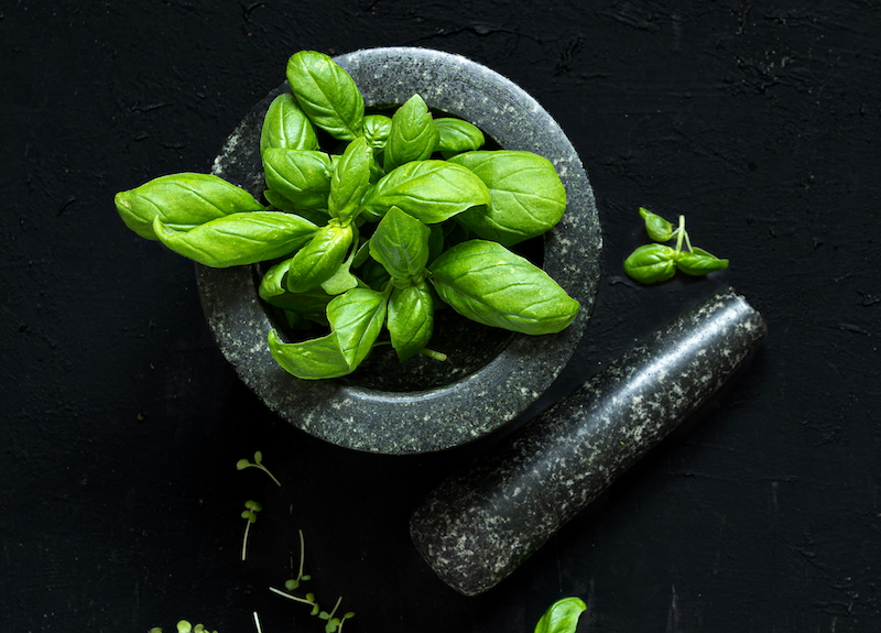 Foglie di basilico e un mortaio per pesto